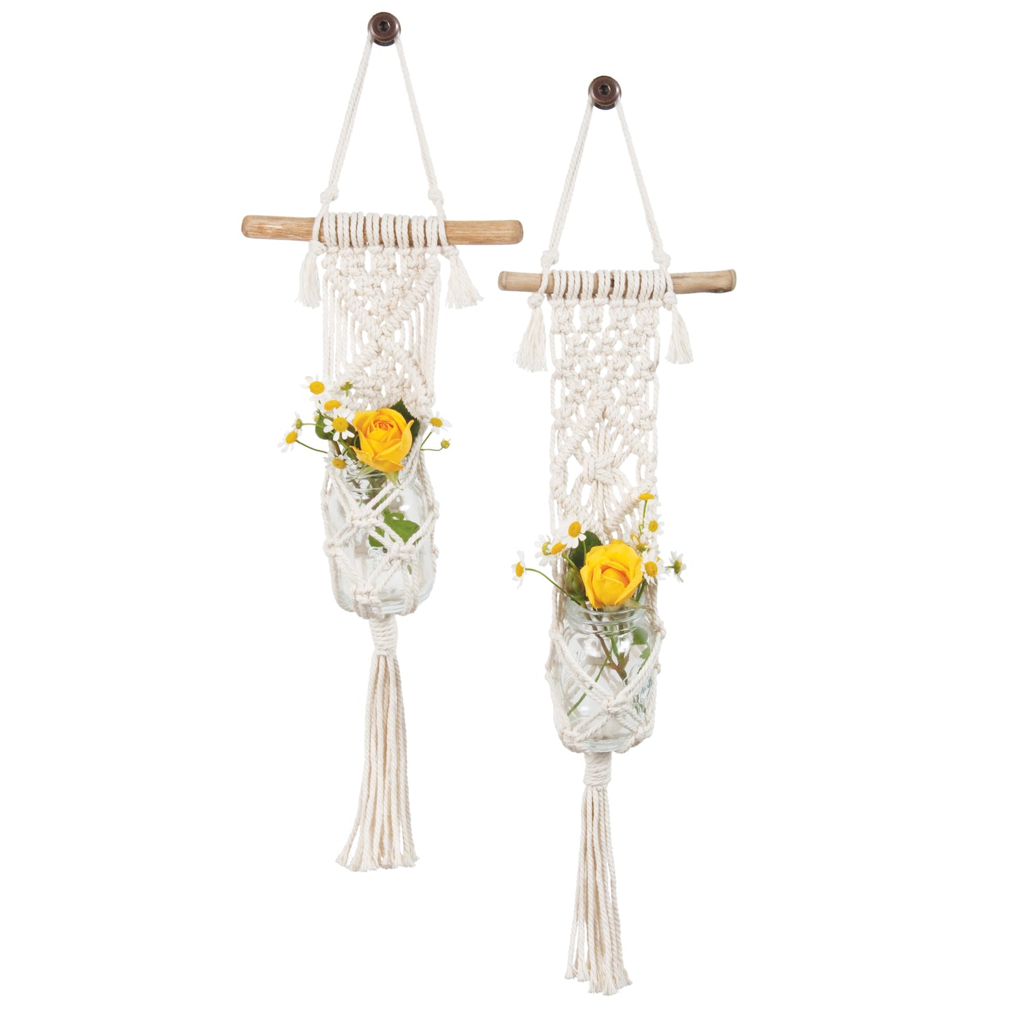 Kit five in Best Sellers macrame DIY kits set, Mini Plamt Hangers