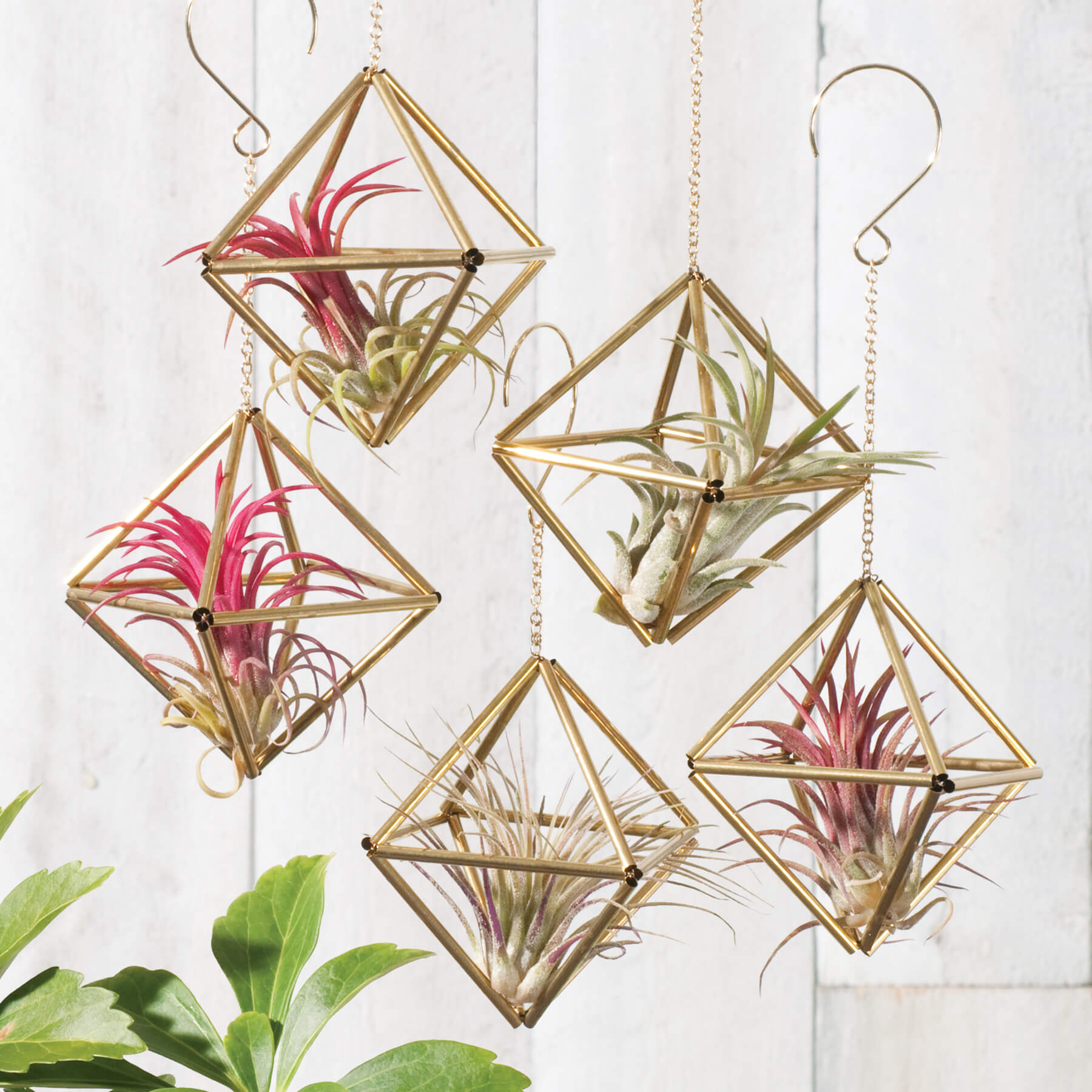 hanging plant ornament Himmeli Ornaments Kit Diamond