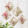 "Diamond" Himmeli ornaments shown with air plants