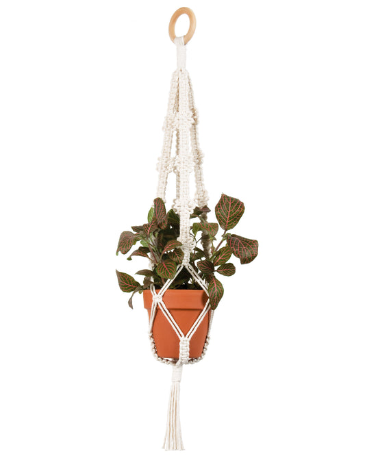 Make-ramé™ Plant Hanger Kit - Picots
