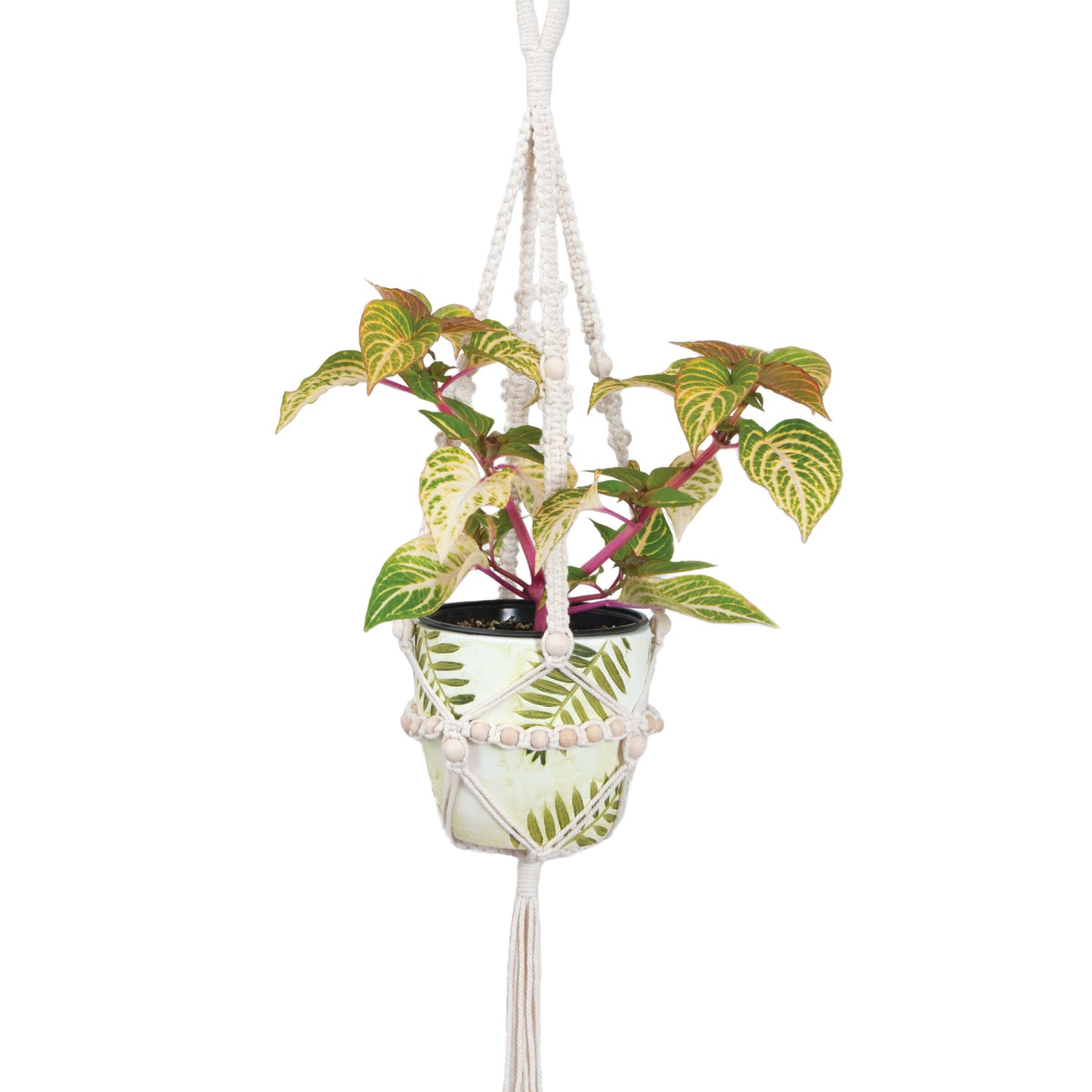 Solid Oak large beaded macrame plant hanger kit