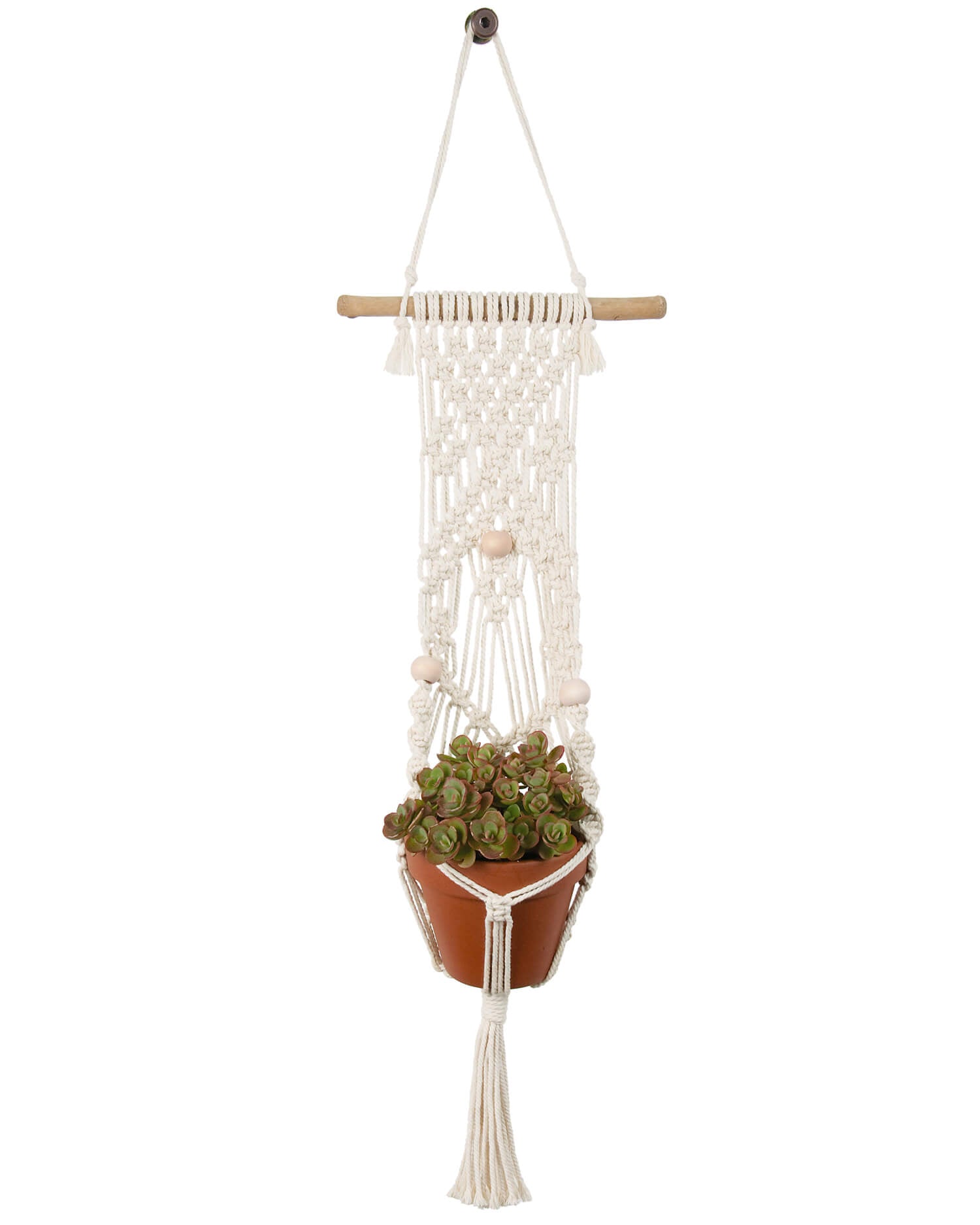 Solid Oak: Macramé Plant Hanger Kit Picots