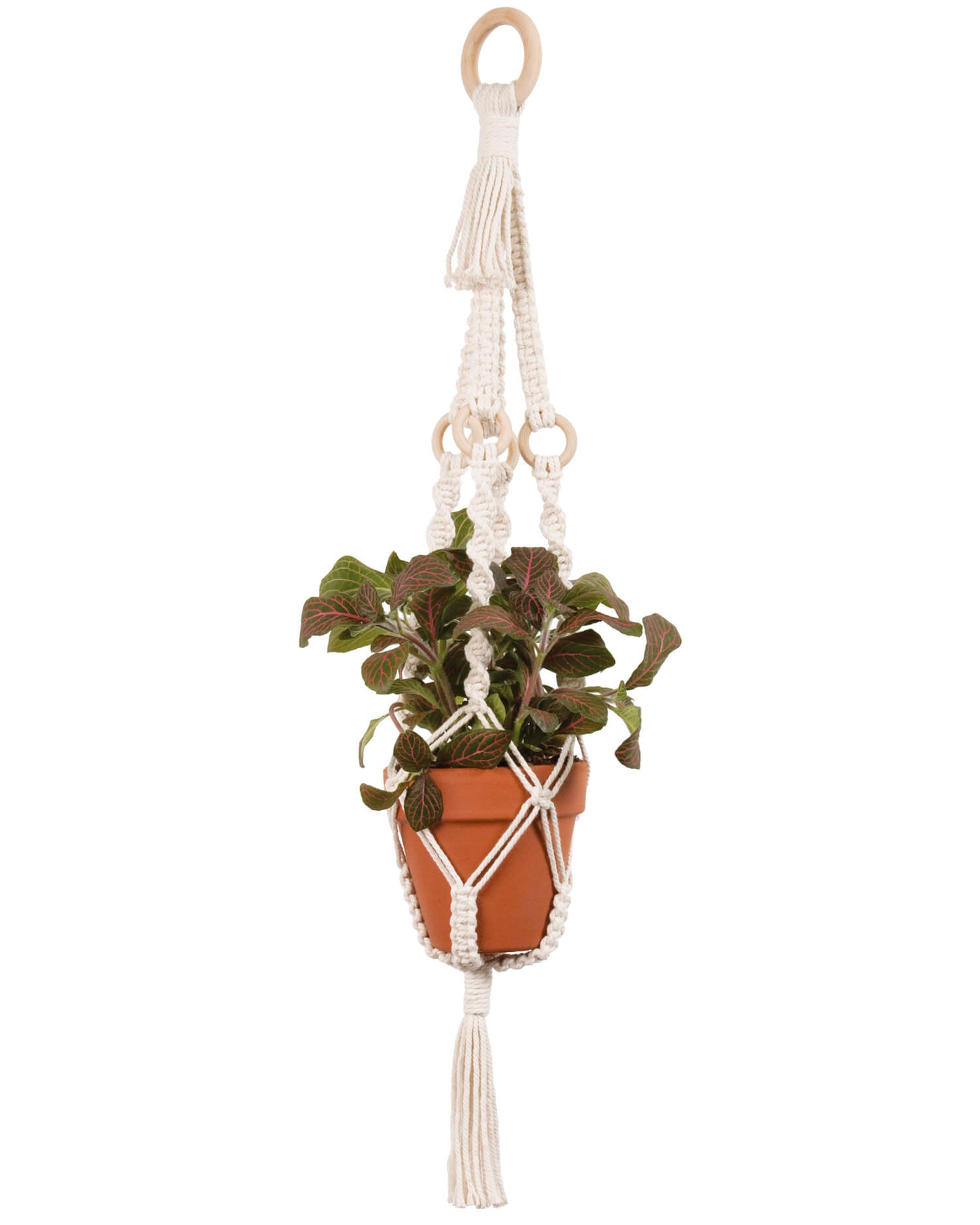 copper plant hanger Solid Oak Macrame Plant Hanger Kit-4 Rings