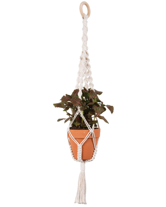 Make-ramé™ Plant Hanger Kit - Twists