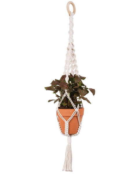 supplies to make macrame plant hanger Solid Oak Macrame Plant Hanger Kit-4 Twists