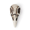 Large Raven Skull - Imit. Bone